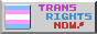 88x31 button that says 'Trans Rights Now'